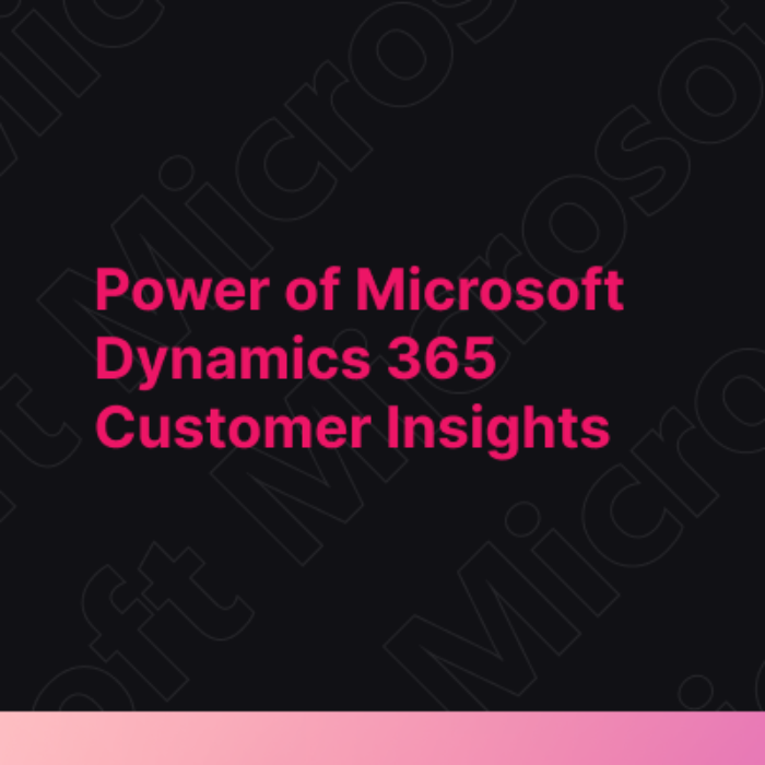 Power of Microsoft Dynamics 365 Customer Insights